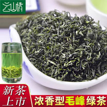 毛峰茶贵州特产高山云雾绿茶茶叶散装批发2024greentea 一件代发