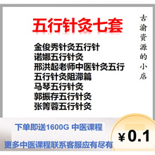 视频网针灸俊秀金五行马琴郭振存蓉张诺娜阻滞中医箐邢洪起盘篇