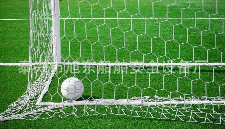 工厂定制pe足球网儿童足球门网标准11人/7人/5人足球网结实抗阻燃