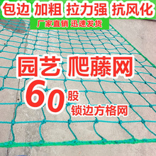 花架爬藤网爬藤架加粗藤蔓攀爬种植网苦瓜豆角支架农用加粗大棚网