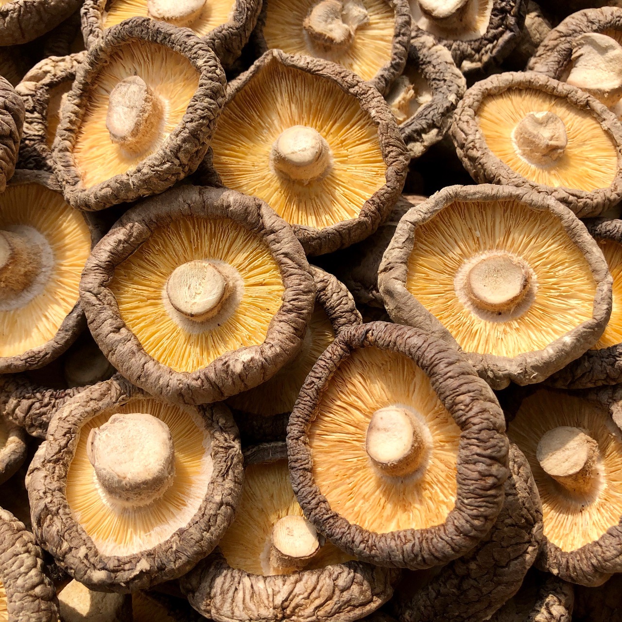 大香菇干货蘑菇河南香菇食用菌肉厚冬菇农产品500g批发常年供应