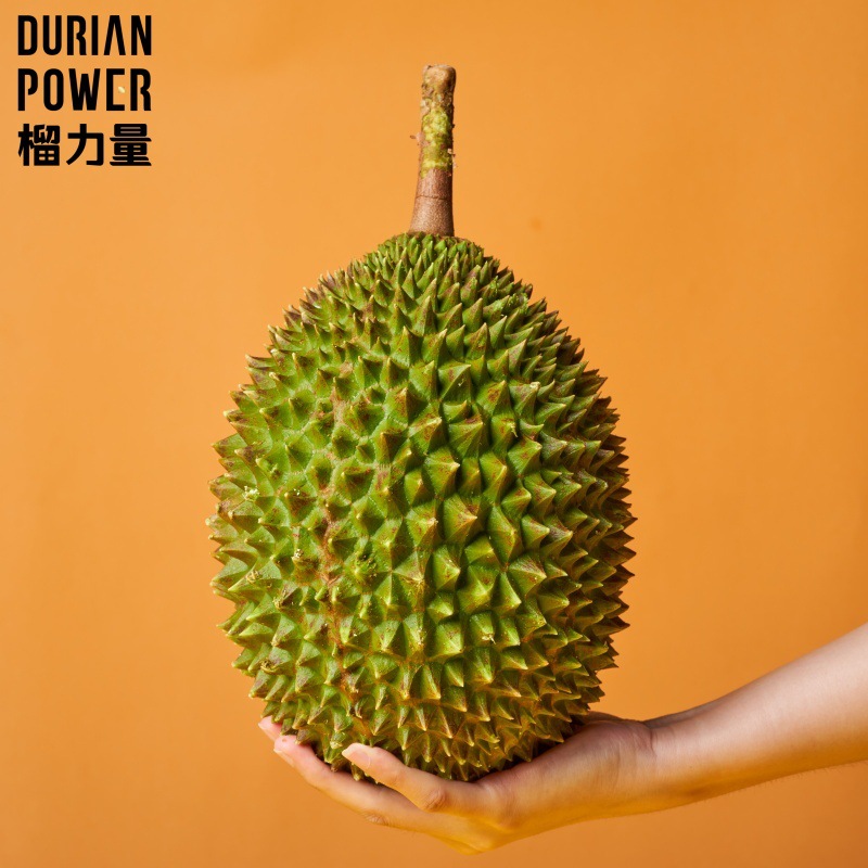 榴力量猫山王榴莲d197a果马来西亚新季8头一箱20斤批发液氮整果