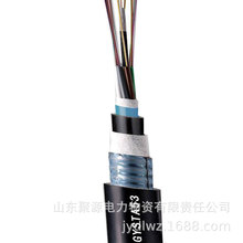 GYFTA53 GYTA53双铠双护套光缆加强铠装直埋光缆厂家生产批发皮线
