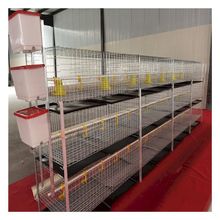 养鸡用的鸡笼子 肉鸡笼  鸡舍 自动除粪机 鸡笼养殖 外贸铁丝网片
