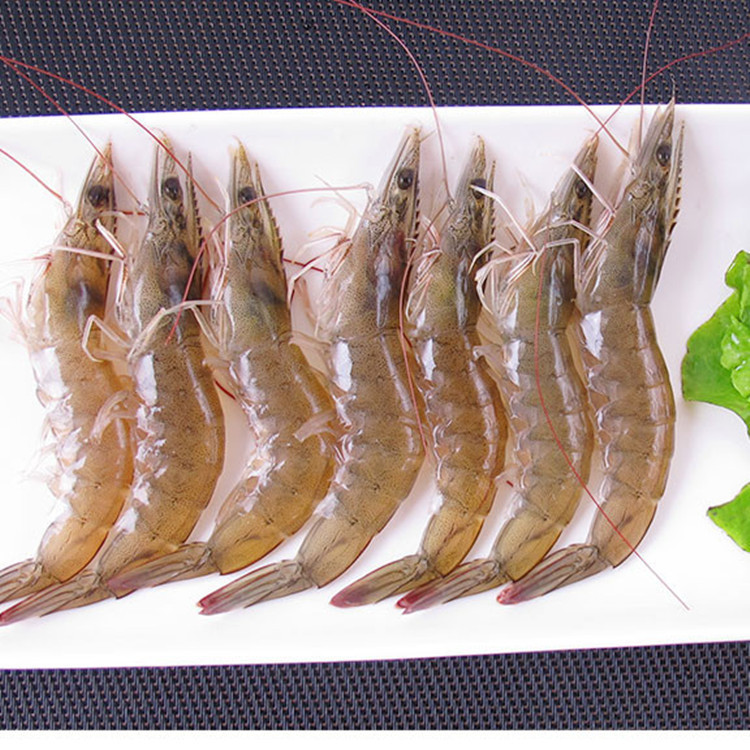 白对虾 白虾 国产南美白虾 活冻白虾 火锅 白灼 爆炒都适合