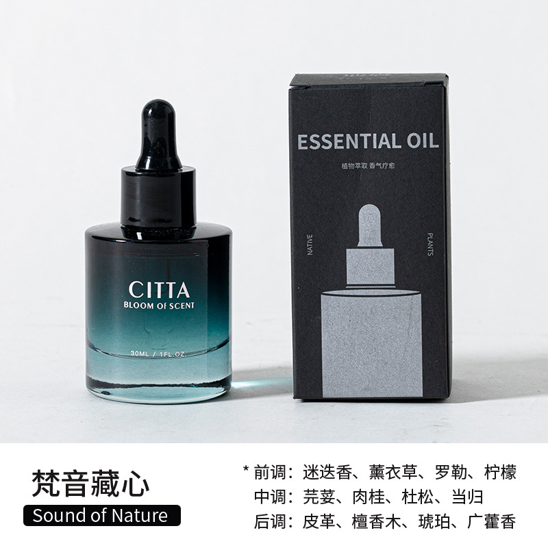 Citta West Moss Natural Crystal Aromatherapy Fragrant Stone Indoor Long-Lasting Fragrance Essential Oil Domestic Toilet Deodorant Wholesale