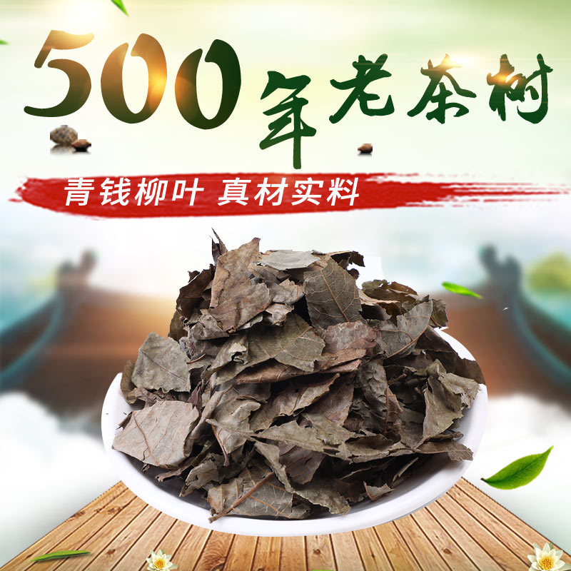 张家界产地货源青钱柳叶古树叶现货金钱柳原叶清钱柳茶一件代发