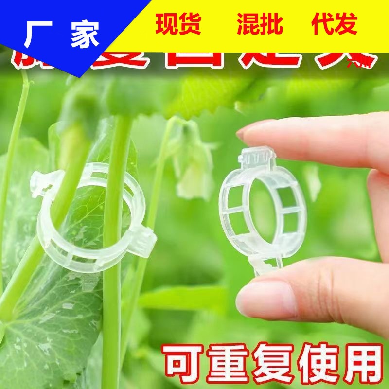 Vine Clamp Tie Tendril Clip Hanging Seedling Buckle Green Plant Clip Vine Fixed Clip Pepper Eggplant Holder Rice Seedling Plant Clips