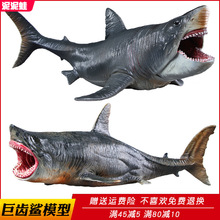 仿真海洋生物史前巨齿鲨模型动物大白鲨玩具双髻鲨锤头鲨儿童礼物