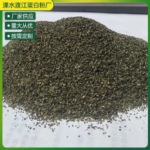 绿茶叶渣样品宠物饲料清香味猫砂用绿茶叶渣粉