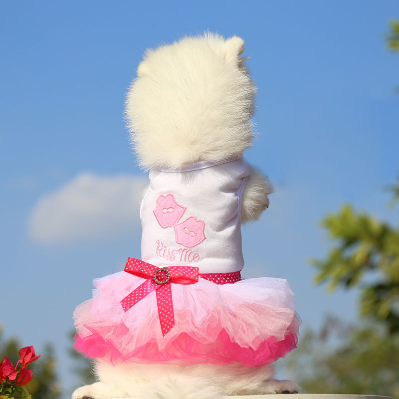 Pet Dog Clothes Spring and Summer Cat Clothes Pet Skirt Pet Supplies Lip Gauze Skirt Love Teddy Bichon