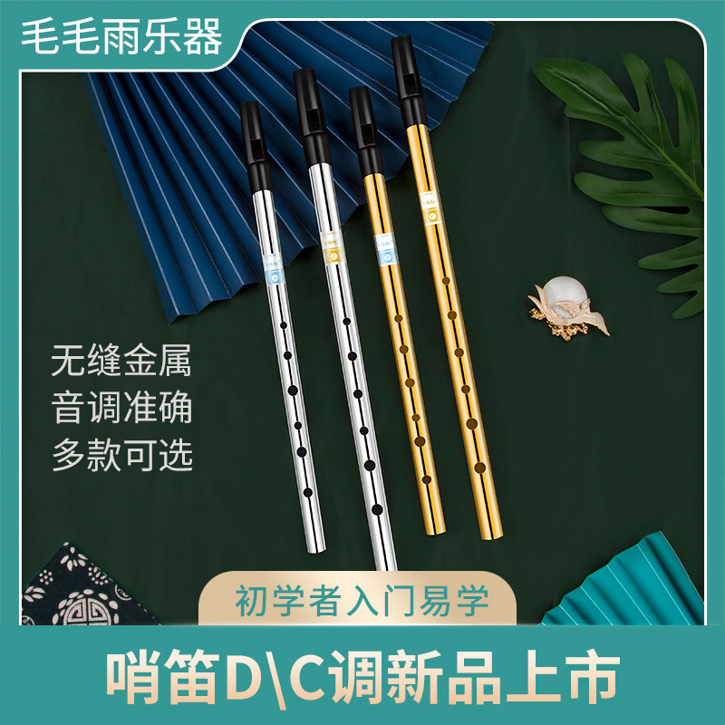 naomi爱尔兰哨笛黄铜c调d调初学者入门款 高音六孔竖笛直笛长笛