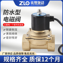 黄铜电磁控制阀220v24v防水电动阀门4分6分管道电子常闭开关阀