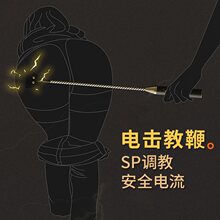 sp工具sm刑奴重度超变态电击情趣道具皮鞭重口味女奴调教spank男