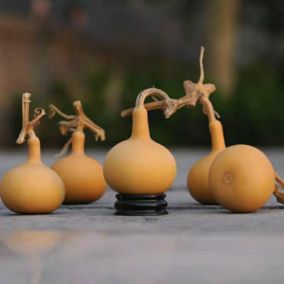 天然独霸单肚葫芦文玩手捻蒜头小葫芦车饰摆件便携独柄葫芦手把件