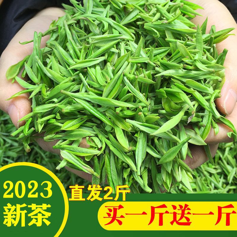 茶叶【买一斤送一斤】信阳毛尖2023新茶雨前春茶散装绿茶叶1000g