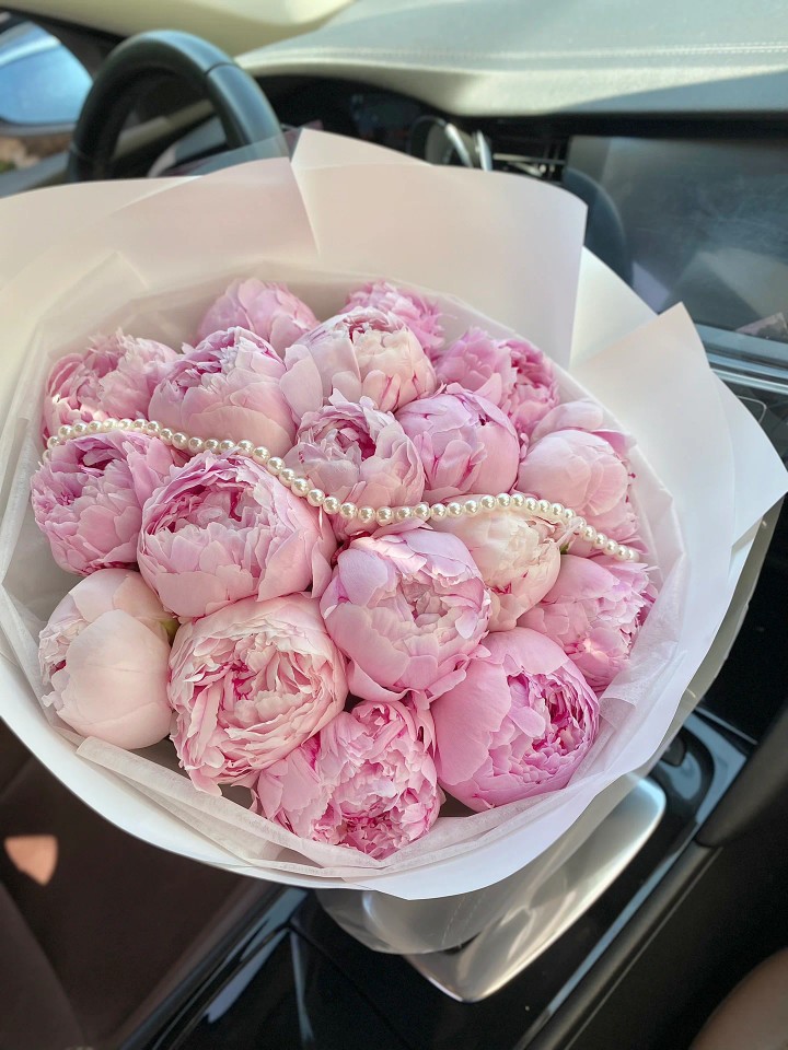 沙拉芍药鲜花粉色重瓣鲜花圆呼呼粉色鲜花好养云南昆明直发-阿里巴巴