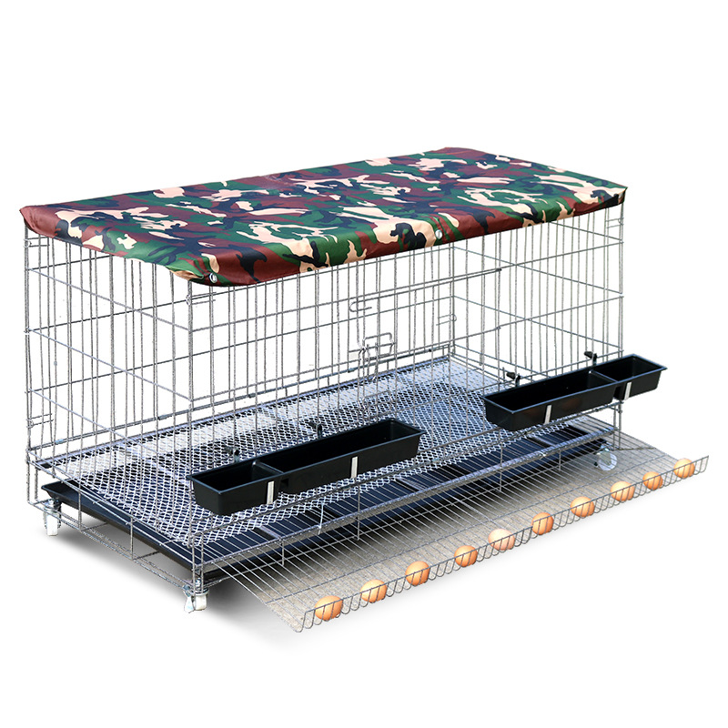 鸡笼子家用室外防雨自动滚蛋家庭养鸡出蛋养殖笼鸡舍简易大号特大