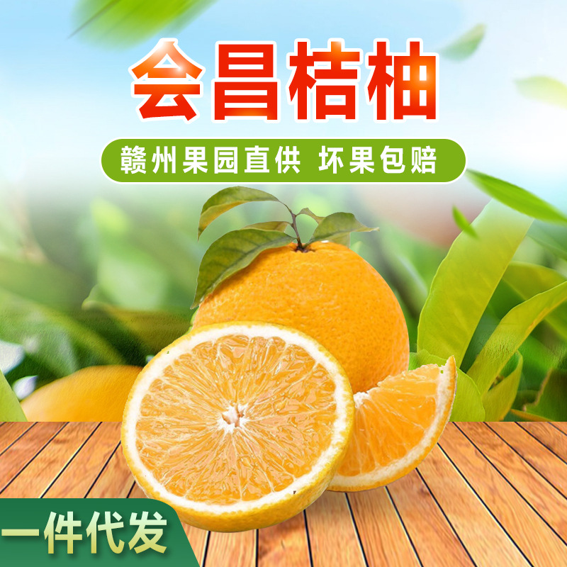 【赣州果园直供】赣南甜桔柚应季新鲜薄皮纯甜桔柚10斤整箱批发