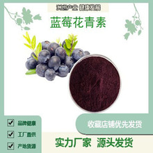 蓝莓花青素 5% 25%含量 蓝莓果粉 源头厂家 洲世健康