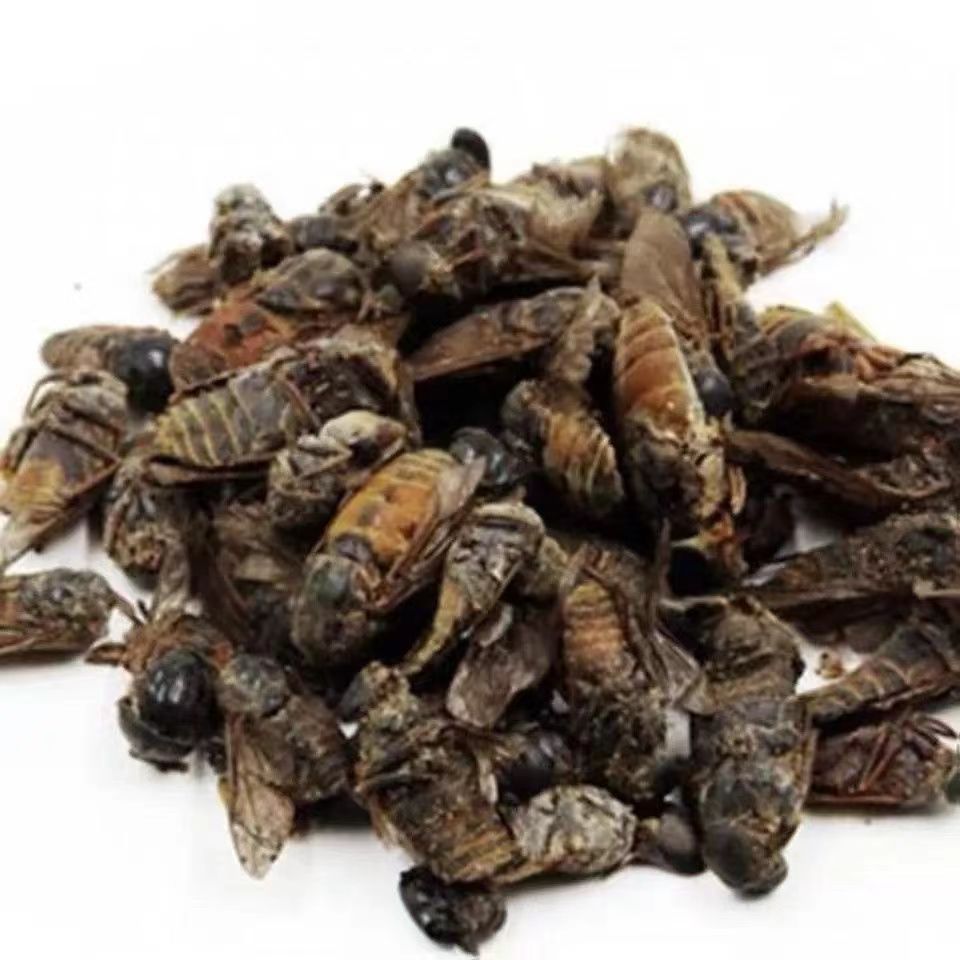 牛虻虫牛虻虫牛虻虫蜚虻炒虻虫大牛虻免费打粉包邮-阿里巴巴