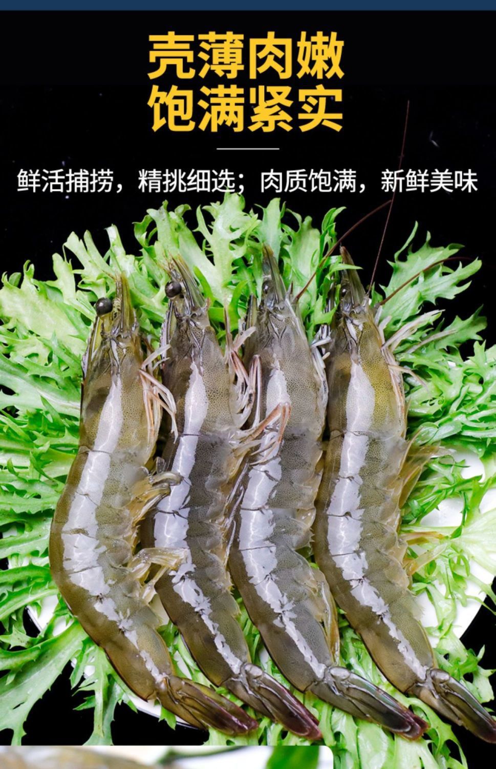 青岛大虾鲜活新鲜盐冻大虾特大号批发一箱对虾基围虾白虾海捕大虾