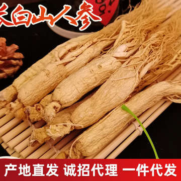 足干人参长白山人参东北特产新鲜泡酒园参500g礼盒装生晒白参批发