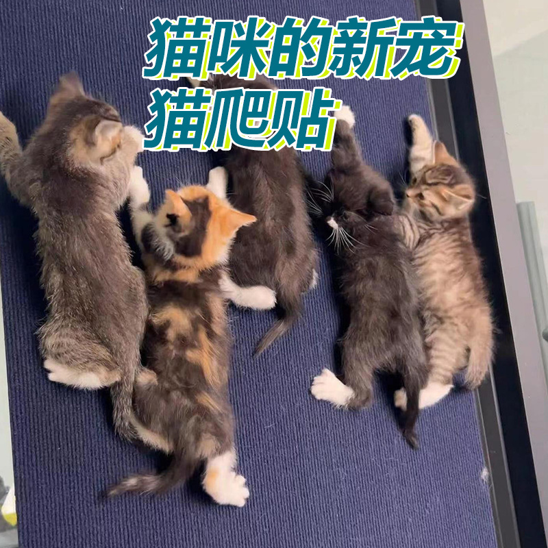 跨境猫爬垫 耐磨耐抓不掉屑 防猫抓保护沙发专供宠物用品工厂