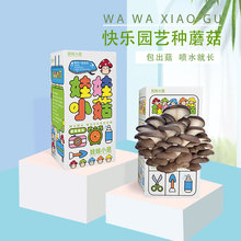 平菇粉红蘑菇菌包食用菌棒简单盒装种植盒亲子儿童益智可食用礼盒