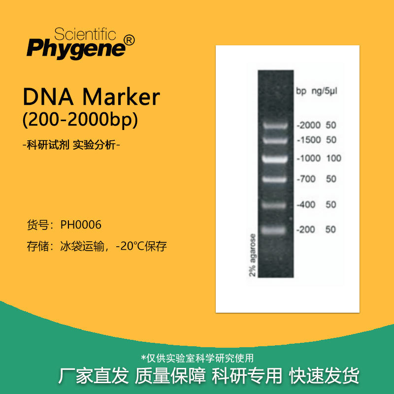 dna marker (200-2000bp) 100t 核酸电泳 [ph0006 phygene]-阿里巴巴