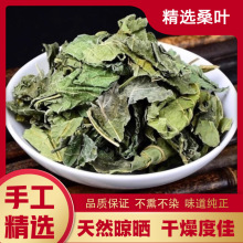 霜后桑叶茶500g克正品桑树叶新货野生桑葚叶泡水泡茶新鲜