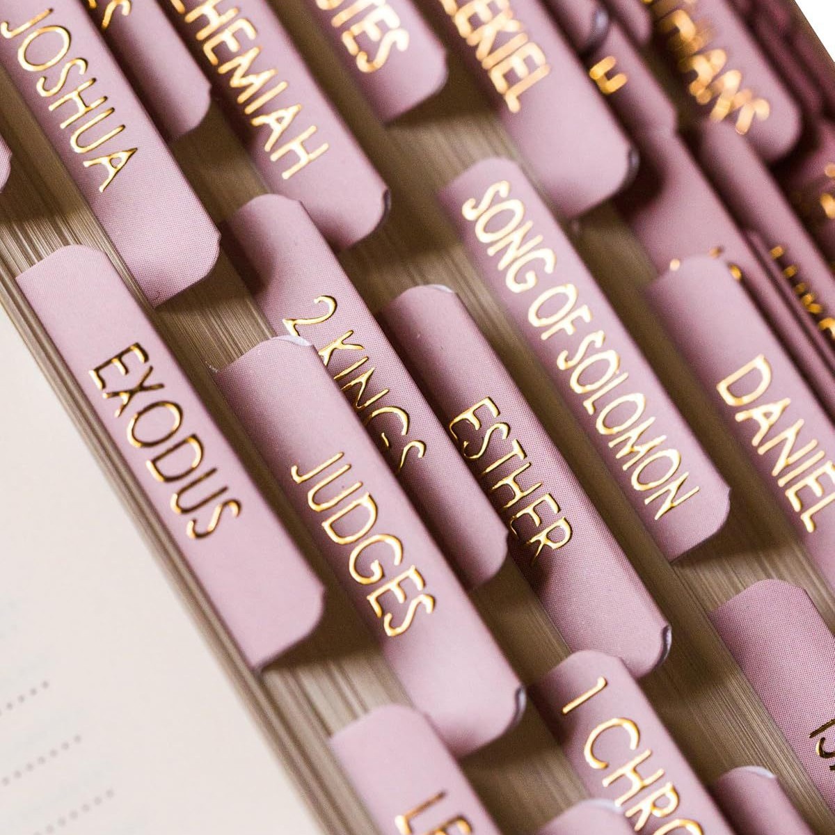 源厂家跨境烫金月份索引贴纸防水月度规划分类标记便利书签不干胶