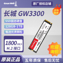 适用长城GW3300系列 128G/256G/512GB/1TB 固态硬盘SSD M.2接口