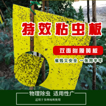 果蝇飞虫诱虫板粘虫板家用大棚果园粘虫板绿色防控黄蓝粘虫板