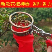 新款花椒采摘神器专用采摘手动机器省力提高效率剪花椒枸杞工具