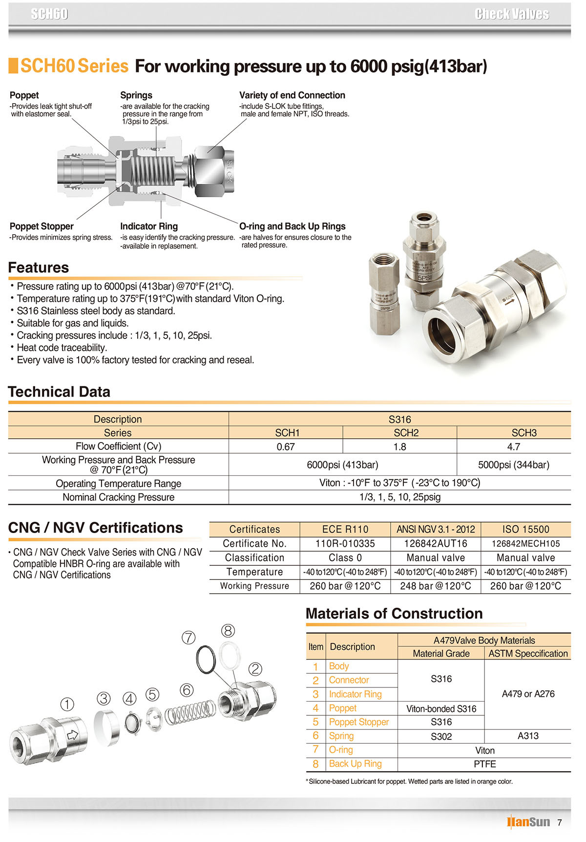 check valve05.jpg