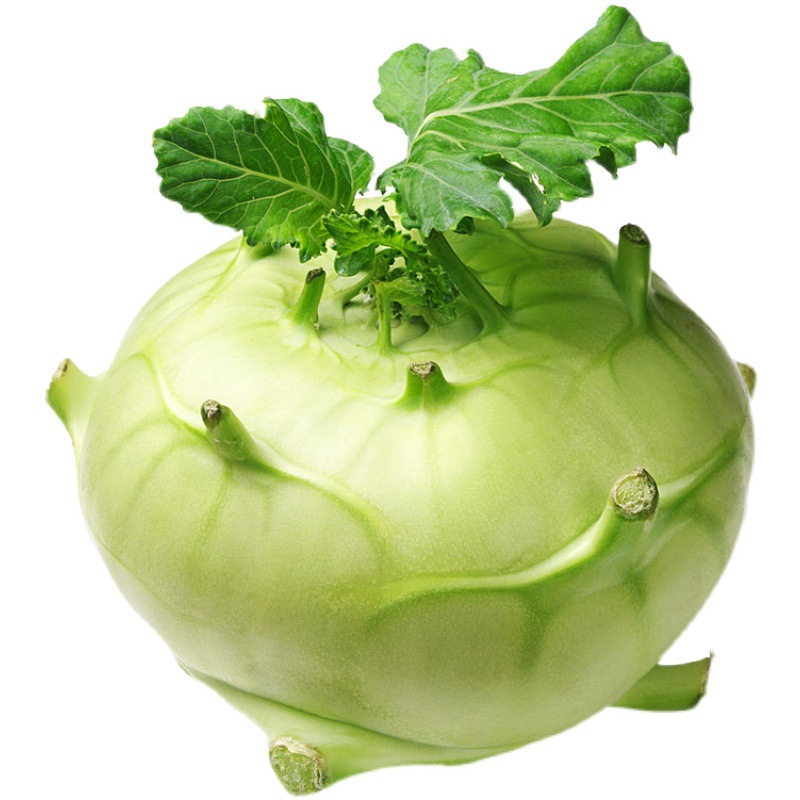 青苤兰种子白苤蓝种籽高产蔬菜孑芥兰头芥蓝球茎四季水果甘蓝脆甜
