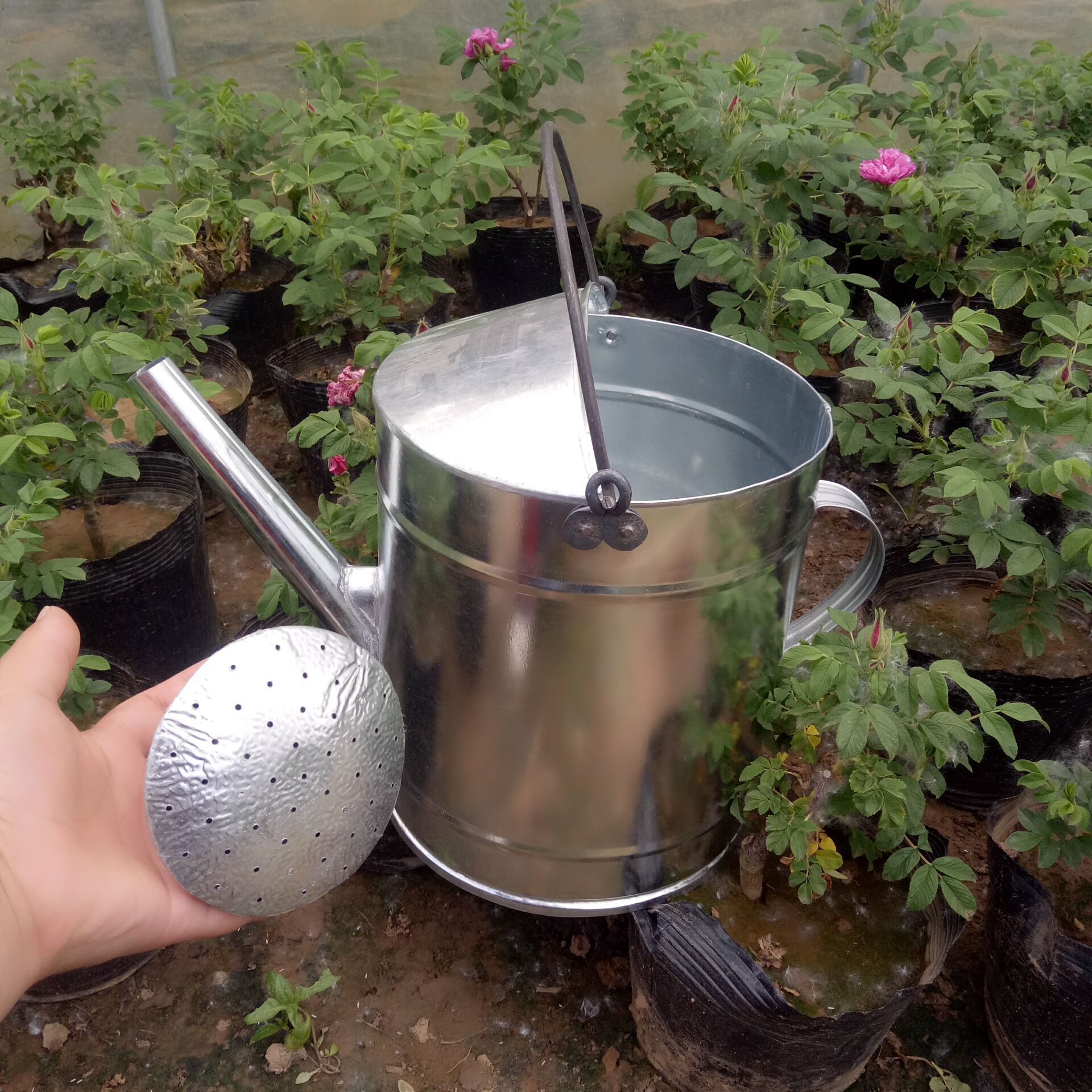 浇水壶铁皮浇花壶浇花洒水壶长嘴加厚大容量大号菜园洒水桶浇菜桶