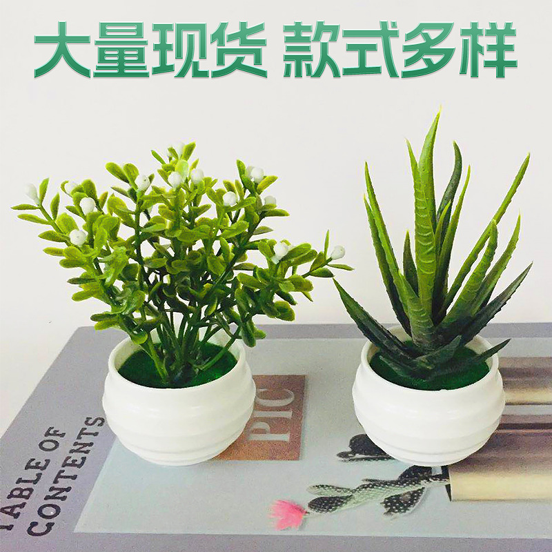 wholesale creative simulation green plant office desk surface panel succulent aloe small ornaments artificial green dill plant fake flower pot