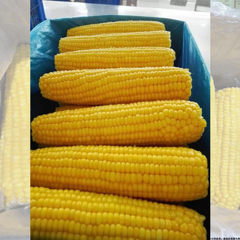 速冻玉米棒冷冻玉米段冷冻蔬菜速冻菜甜玉米水果玉米批发整箱商用