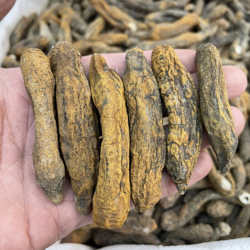 小茄参海茄子参地瓜参批发淡黄皮参100头足干 水发干货海参批发