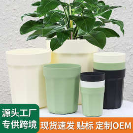 活性保持套盆透气控根塑料加厚青山盆自吸水热带植物懒人透明花盆