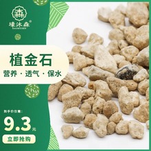 正宗云南铁毛兰金石斛颗粒枫斗炖汤鸡煲味道香_阿里巴巴找货神器
