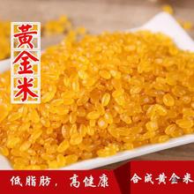 黄金米新米东北色黄金米长粒米农家再制米清香美味黄金米袋装