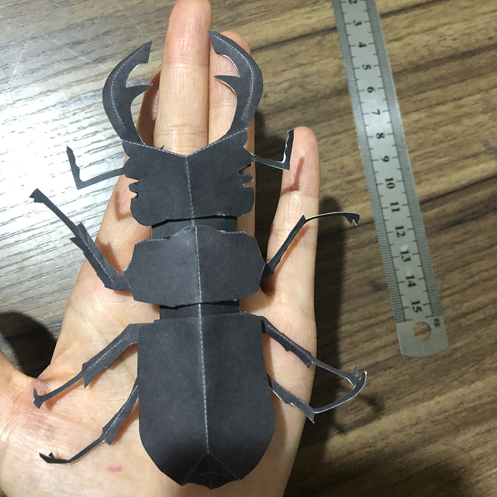 6件套独角仙 蝴蝶 蜻蜓 螳螂 昆虫纸模型 手工diy 学生活动 亲子