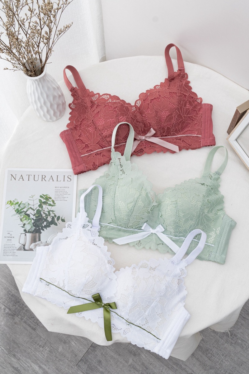 芝葵秋冬性感蕾丝无钢圈少女小胸聚拢文胸舒适上托无痕内衣批发