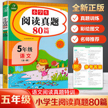 小学语文阅读真题80篇五年级上下册阅读理解训练题彩绘版答案详解