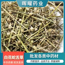 【晖曜药业】源头直供白花蛇舌草 白花蛇舌草粉 多规格量大从优