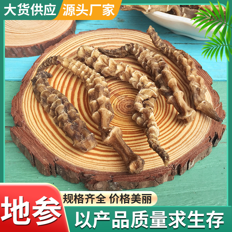 工厂供应跑江湖地摊展销会地参 批发农产品散装新货虫草参