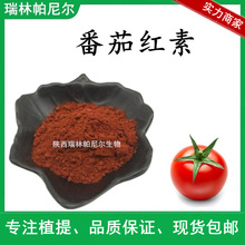 实力 100克/袋 番茄红素10%  新疆红番茄提取物  现货包邮